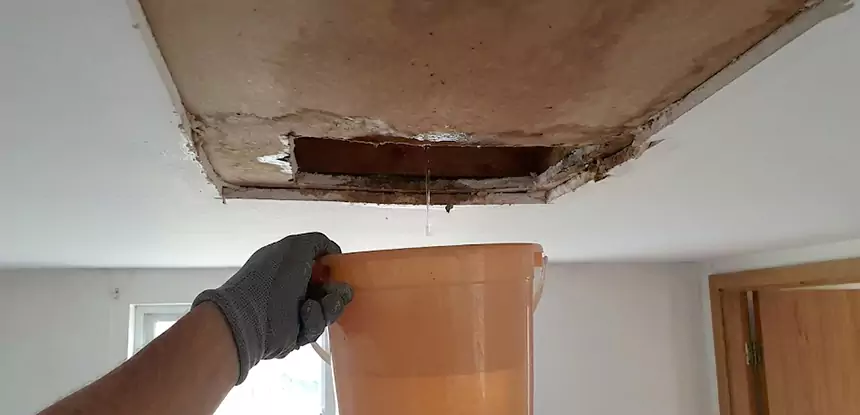 Ceiling Mold Repair Lenexa